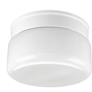 Two-Light White Glass  Close-to-Ceiling💜